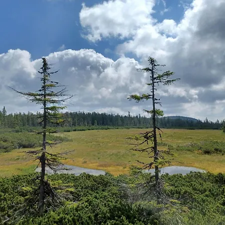 Hill 47 By Interhome